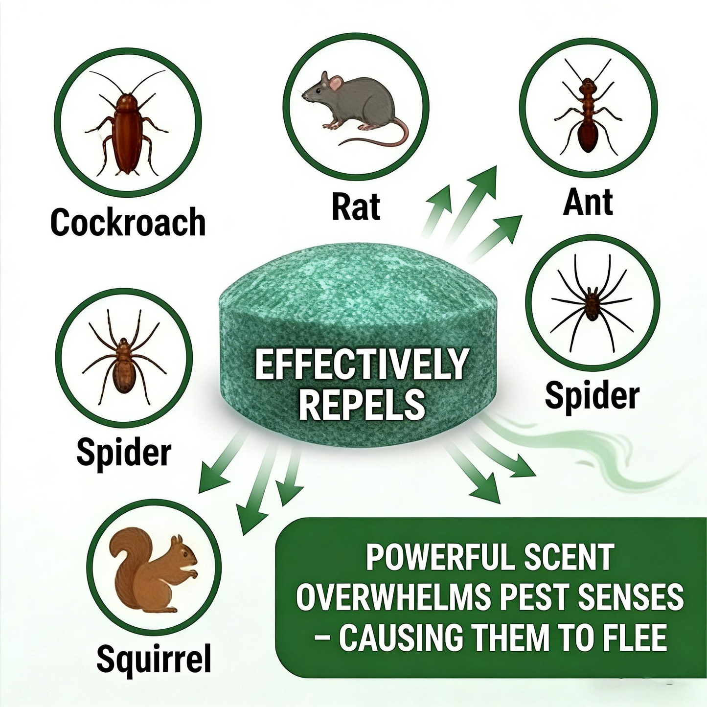 🟢 Natural Peppermint Rodent Repellent Tablets