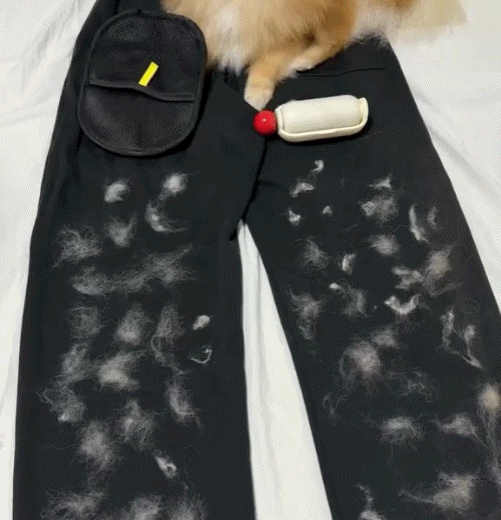 Reusable Pet Hair Remover Mitt – Professional Magic Brush for Furniture, Couch, and Clothing